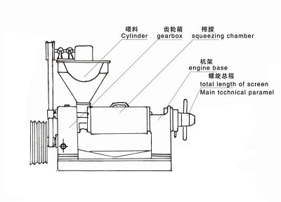 雙象榨油機結構 雙象榨油機結構